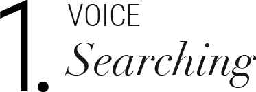 voice searching
